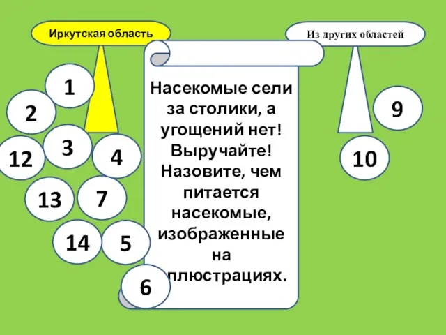 Иркутская область Из других областей Насекомые сели за столики, а угощений нет!