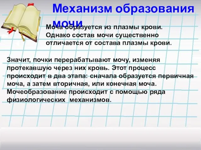 Механизм образования мочи Моча образуется из плазмы крови. Однако состав мочи существенно