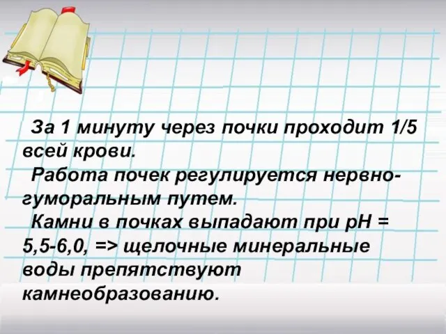 За 1 минуту через почки проходит 1/5 всей крови. Работа почек регулируется