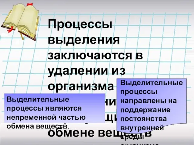 Процессы выделения заключаются в удалении из организма соединений, образующихся при обмене веществ