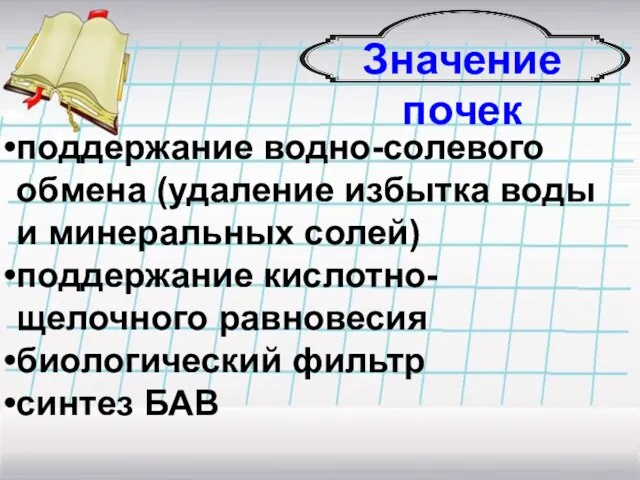 Значение почек поддержание водно-солевого обмена (удаление избытка воды и минеральных солей) поддержание