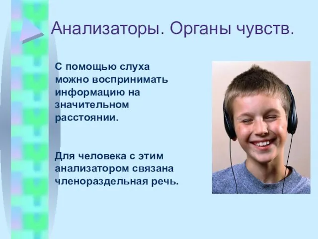 Анализаторы. Органы чувств. С помощью слуха можно воспринимать информацию на значительном расстоянии.