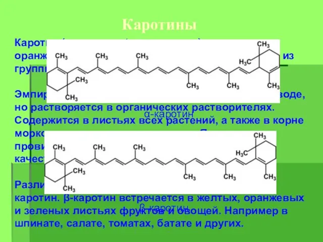 Каротины Каротин (от лат. carota — морковь) — желто-оранжевый пигмент, непредельный углеводород