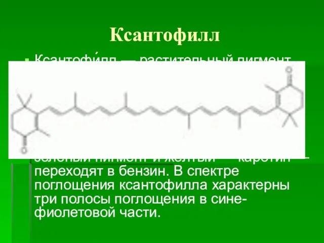 Ксантофилл Ксантофи́лл — растительный пигмент, кристаллизуется в призматических кристаллах жёлтого цвета, входит