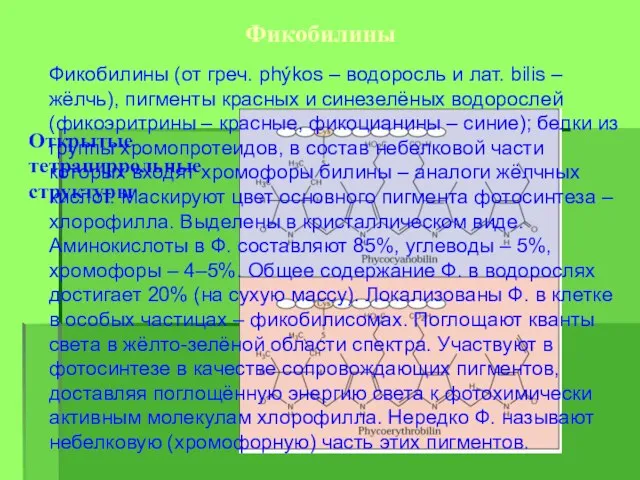 Фикобилины Открытые тетрапиррольные структуры Фикобилины (от греч. phýkos – водоросль и лат.