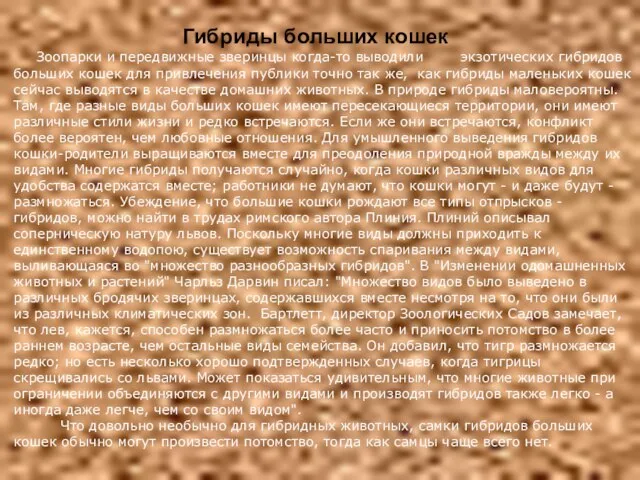 Гибриды больших кошек Зоопарки и передвижные зверинцы когда-то выводили экзотических гибридов больших