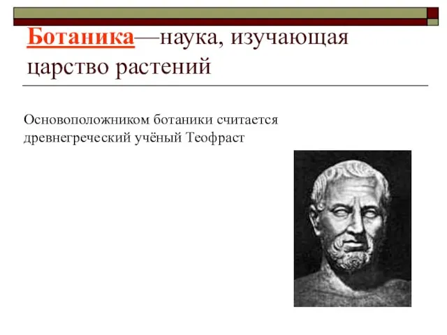 Ботаника—наука, изучающая царство растений Основоположником ботаники считается древнегреческий учёный Теофраст