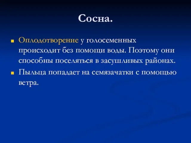 Сосна. Оплодотворение у голосеменных происходит без помощи воды. Поэтому они способны поселяться