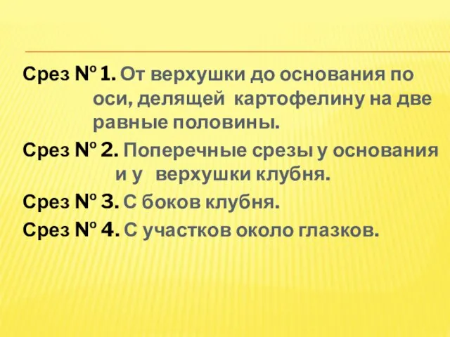 Срез № 1. От верхушки до основания по оси, делящей картофелину на