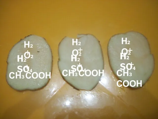 СН3 СООН + СН3 СООН + СН3 СООН + H2 SO4 H2