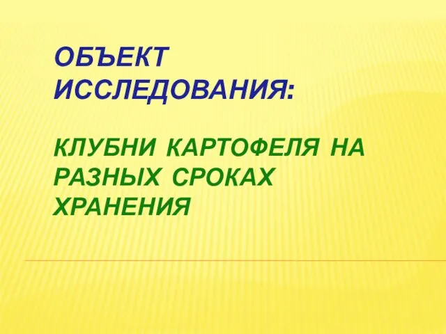 ОБЪЕКТ ИССЛЕДОВАНИЯ: КЛУБНИ КАРТОФЕЛЯ НА РАЗНЫХ СРОКАХ ХРАНЕНИЯ