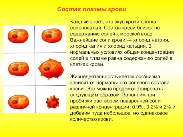 Состав плазмы крови Каждый знает, что вкус крови слегка солоноватый. Состав крови