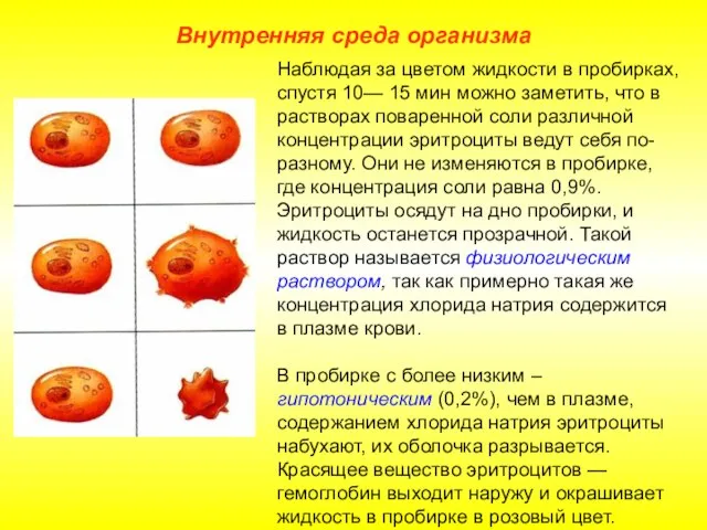 Внутренняя среда организма Наблюдая за цветом жидкости в пробирках, спустя 10— 15