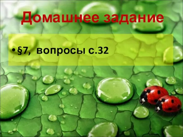 Домашнее задание §7, вопросы с.32