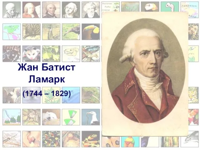 Жан Батист Ламарк (1744 – 1829)