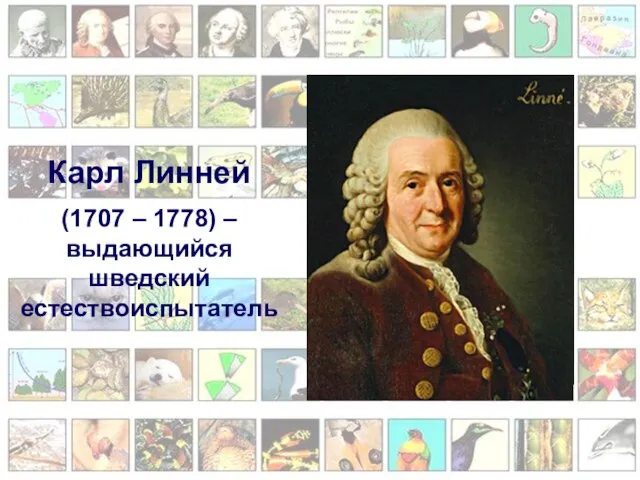 Карл Линней (1707 – 1778) – выдающийся шведский естествоиспытатель