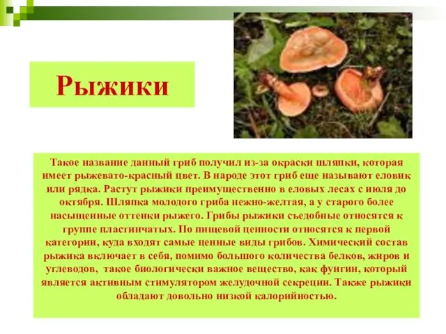 Такое название данный гриб получил из-за окраски шляпки, которая имеет рыжевато-красный цвет.