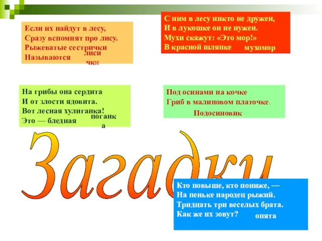 Если их найдут в лесу, Сразу вспомнят про лису. Рыжеватые сестрички Называются