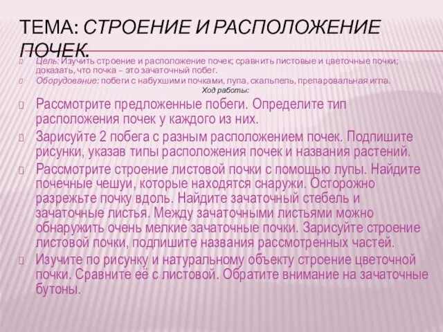 Тема: Строение и расположение почек. Цель: Изучить строение и расположение почек; сравнить