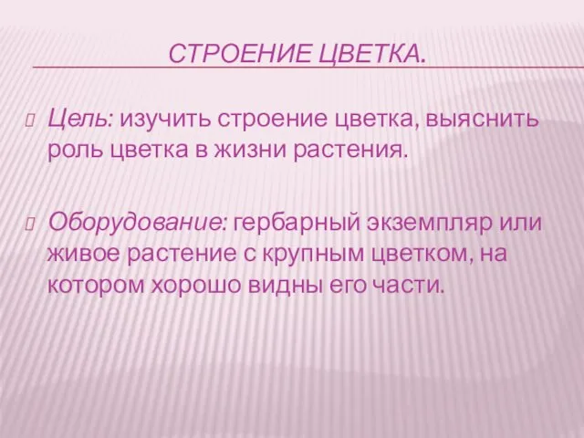 Строение цветка. Цель: изучить строение цветка, выяснить роль цветка в жизни растения.