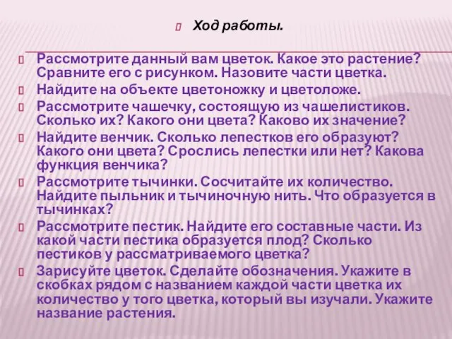 Ход работы. Рассмотрите данный вам цветок. Какое это растение? Сравните его с