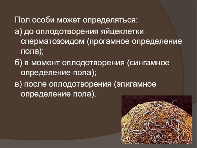 Пол особи может определяться: а) до оплодотворения яйцеклетки сперматозоидом (прогамное определение пола);