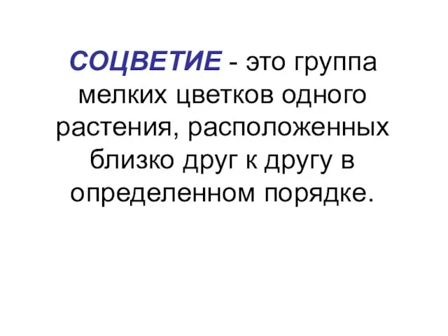 СОЦВЕТИЕ - это группа мелких цветков одного растения, расположенных близко друг к другу в определенном порядке.