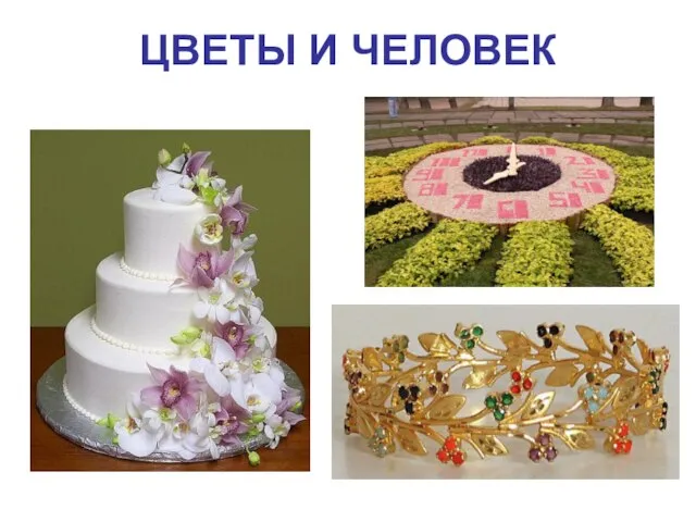 ЦВЕТЫ И ЧЕЛОВЕК