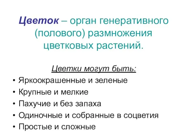 Цветок – орган генеративного (полового) размножения цветковых растений. Цветки могут быть: Яркоокрашенные