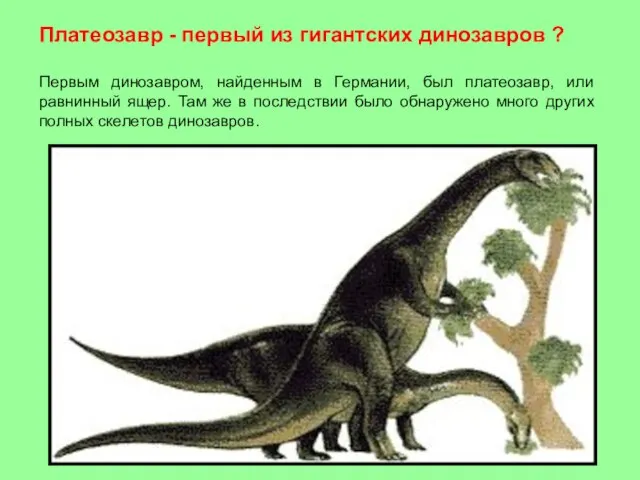 Платеозавр - первый из гигантских динозавров ? Первым динозавром, найденным в Германии,