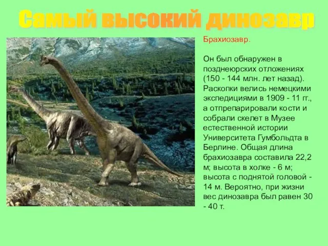 Брахиозавр. Он был обнаружен в позднеюрских отложениях (150 - 144 млн. лет