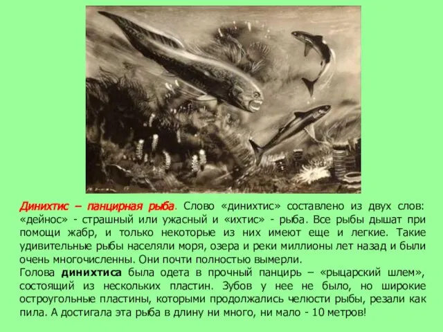 Динихтис – панцирная рыба. Слово «динихтис» составлено из двух слов: «дейнос» -