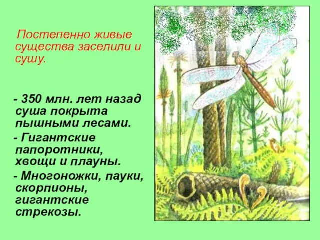 Постепенно живые существа заселили и сушу. Каменноугольный период - 350 млн. лет