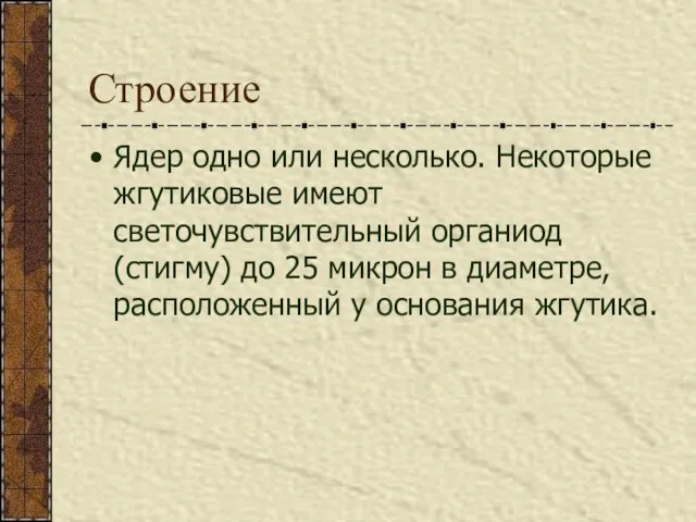 Строение Ядер одно или несколько. Некоторые жгутиковые имеют светочувствительный органиод (стигму) до