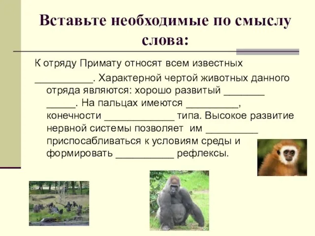 Вставьте необходимые по смыслу слова: К отряду Примату относят всем известных __________.