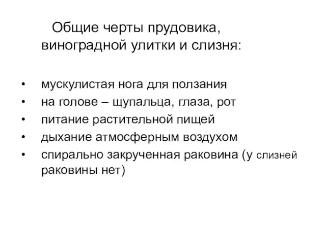 Общие черты прудовика, виноградной улитки и слизня: мускулистая нога для ползания на