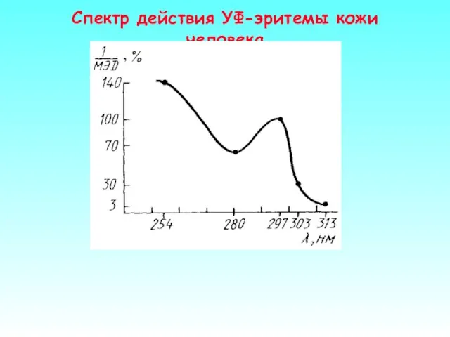 Спектр действия УФ-эритемы кожи человека