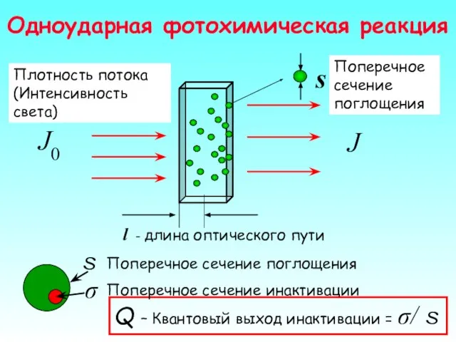 Одноударная фотохимическая реакция Q – Квантовый выход инактивации = σ/ s