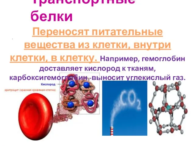 Транспортные белки . Переносят питательные вещества из клетки, внутри клетки, в клетку.