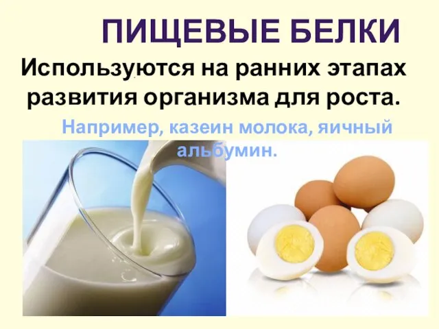 Пищевые белки . Используются на ранних этапах развития организма для роста. Например, казеин молока, яичный альбумин.