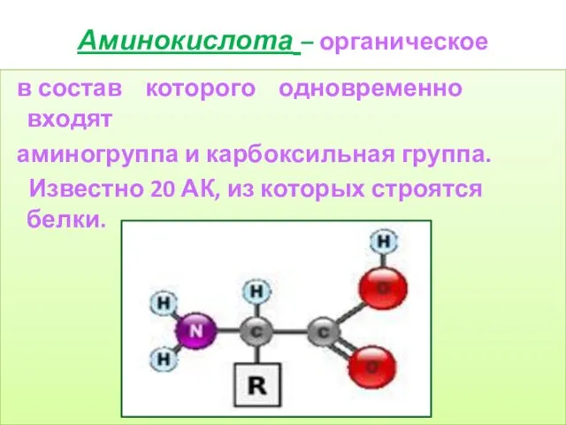 Аминокислота – органическое вещество, в состав которого одновременно входят аминогруппа и карбоксильная