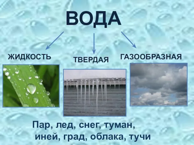 ВОДА ЖИДКОСТЬ ТВЕРДАЯ ГАЗООБРАЗНАЯ Пар, лед, снег, туман, иней, град, облака, тучи