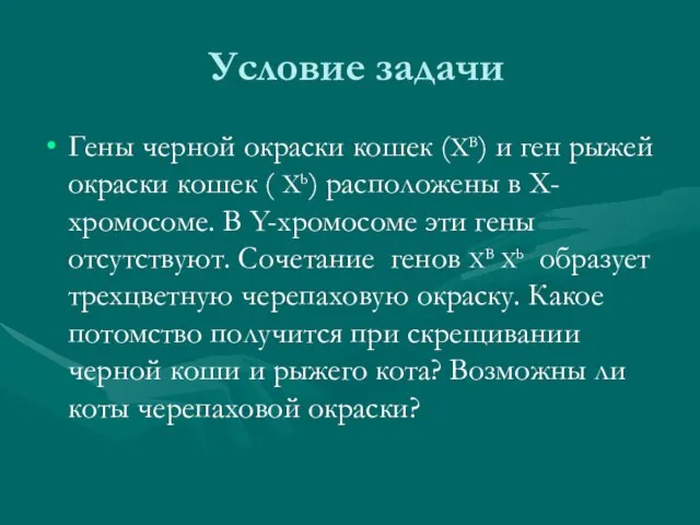 Условие задачи Гены черной окраски кошек (ХВ) и ген рыжей окраски кошек