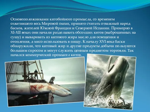 Основоположниками китобойного промысла, со временем охватившего весь Мировой океан, принято считать отважный
