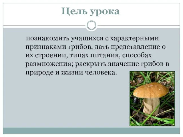 Цель урока познакомить учащихся с характерными признаками грибов, дать представление о их