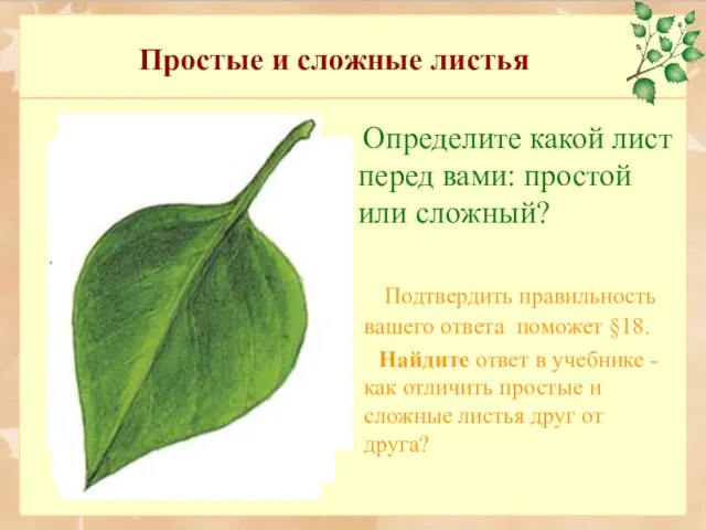 Простые и сложные листья Определите какой лист перед вами: простой или сложный?