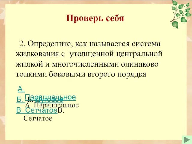 Проверь себя 2. Определите, как называется система жилкования с утолщенной центральной жилкой