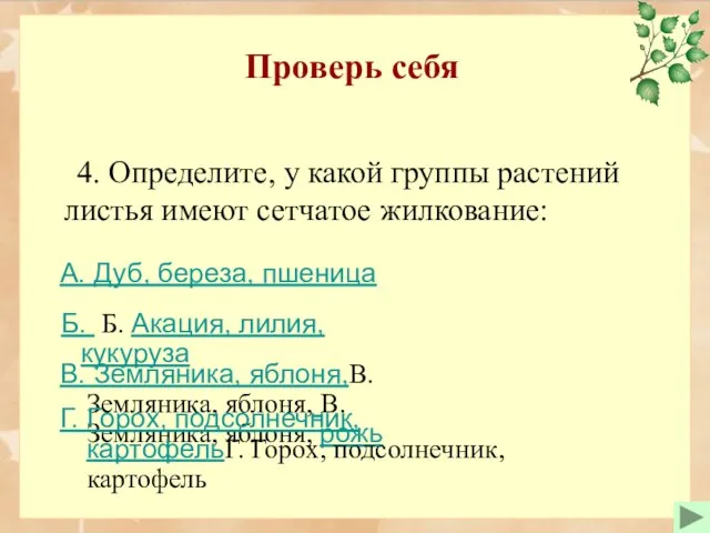 Проверь себя 4. Определите, у какой группы растений листья имеют сетчатое жилкование: