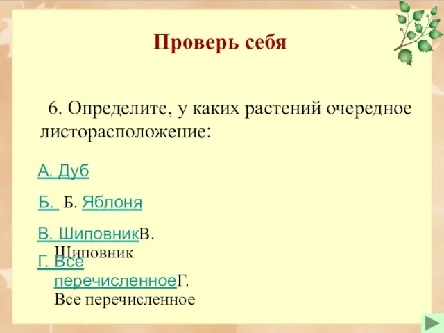 Проверь себя 6. Определите, у каких растений очередное листорасположение: Б. Б. Яблоня