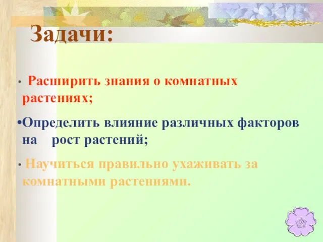 Задачи: Расширить знания о комнатных растениях; Определить влияние различных факторов на рост